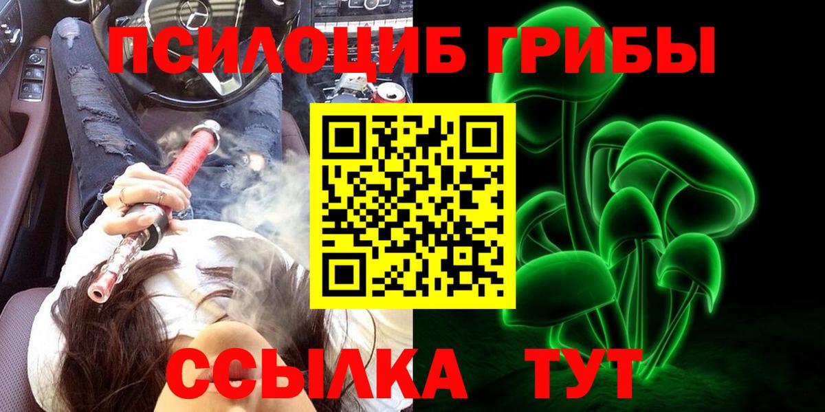 Псилоцибиновые грибы мухоморы Воронеж